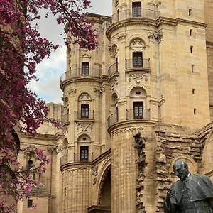 Premium - Cathedral Of Málaga