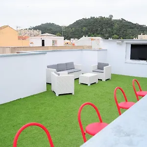 Barbatuke Málaga